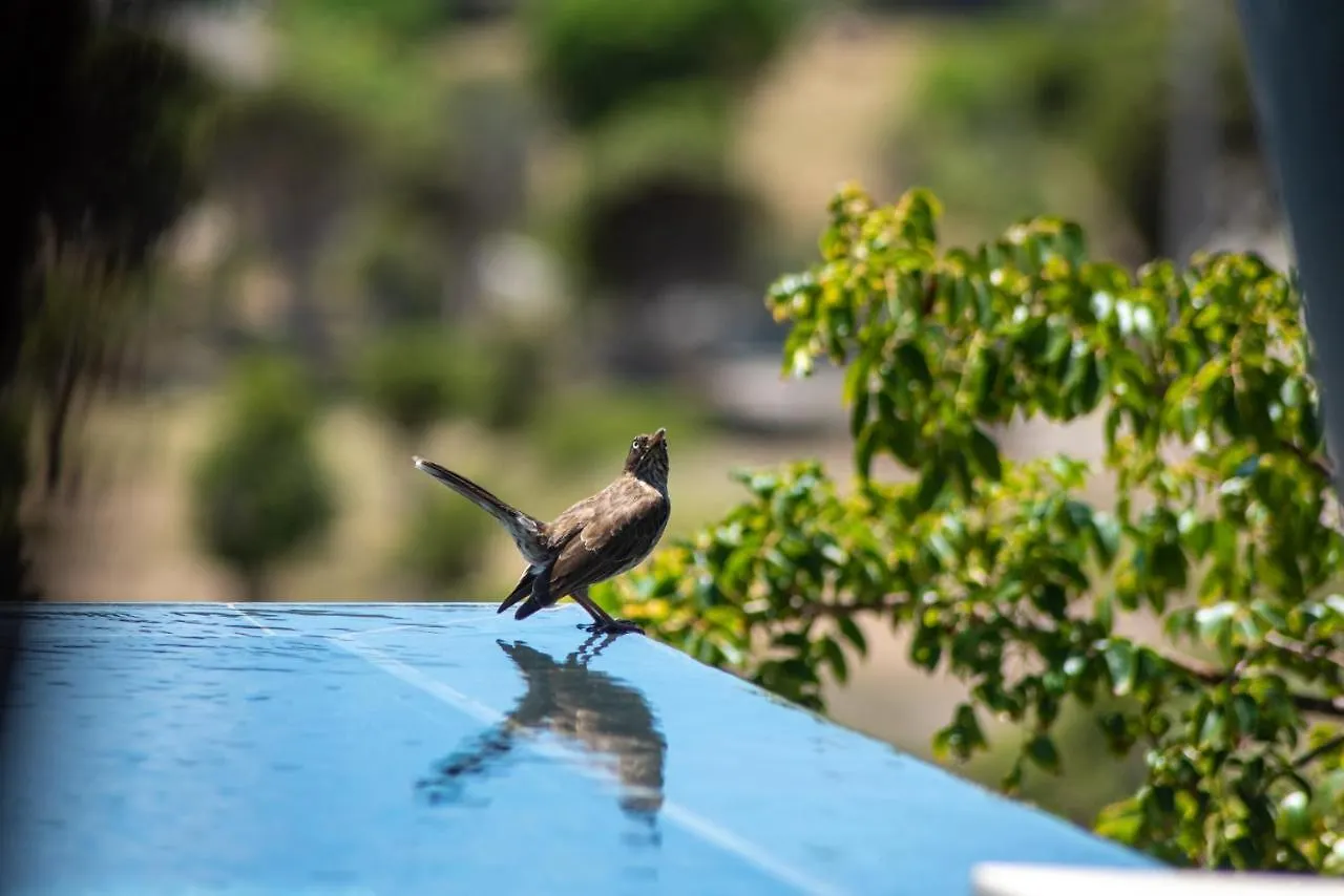Domaine De Sweet Hill - 4 Villas Et 2 Studios St. Barthelemy