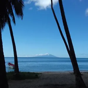 Palm View Laborie
