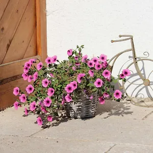 https://appartementhaus-sachs_schirsner.com-bavaria.com